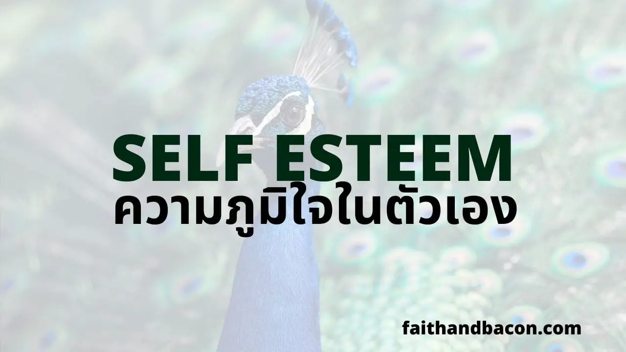 Self Esteem คืออะไร? วิธีสร้างความภูมิใจในตัวเองทำยังไง?